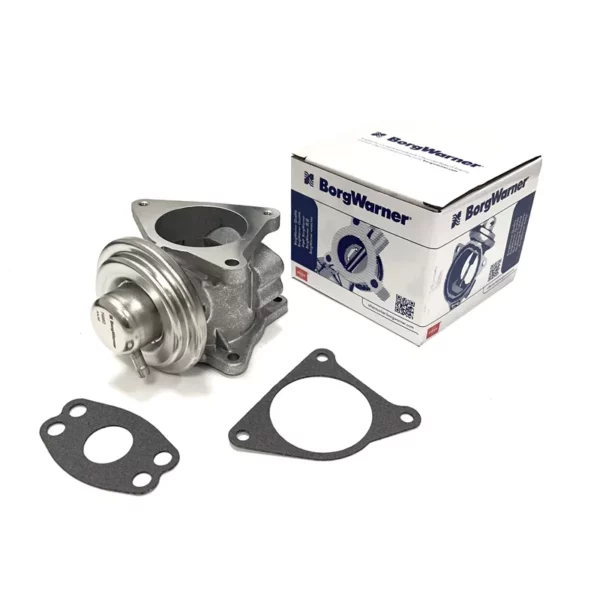 Zawór EGR Volkswagen 1.9TDI 2.0TDI BorgWarner 7496D